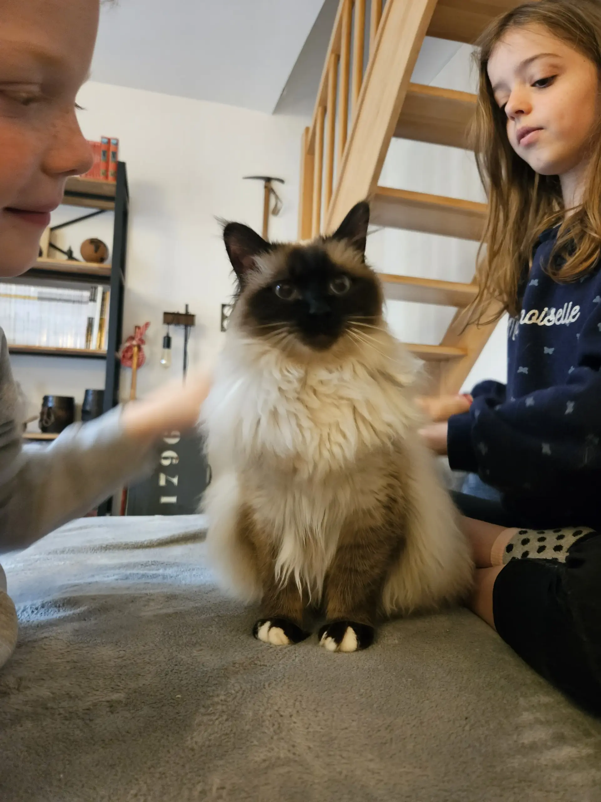 Mose qui fait le beau